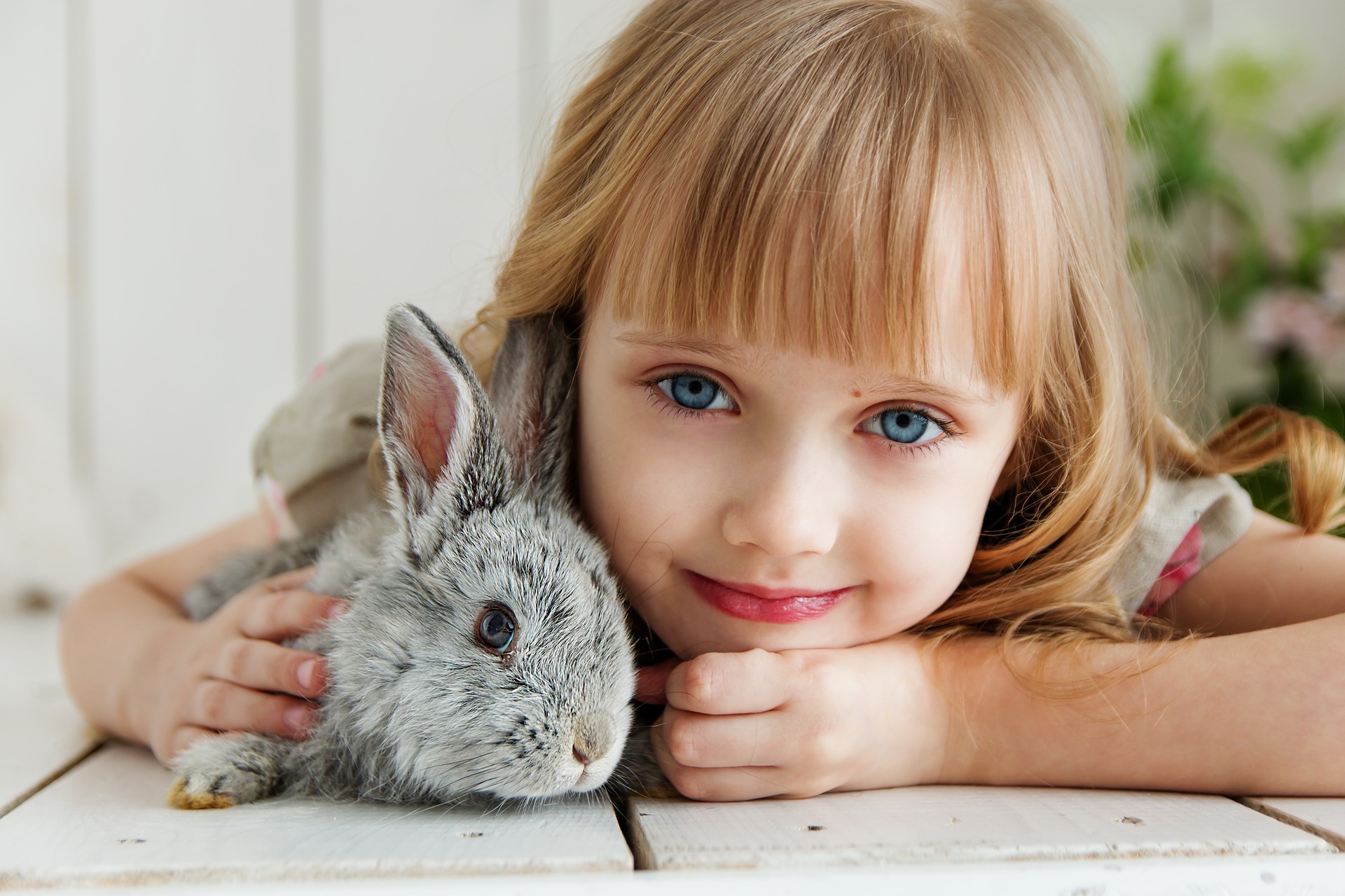 konijnenspullen - alles voor konijnen